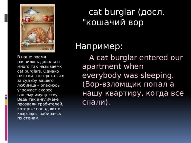  cat burglar (досл. 