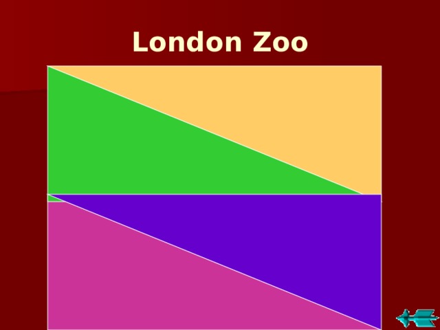 London Zoo 