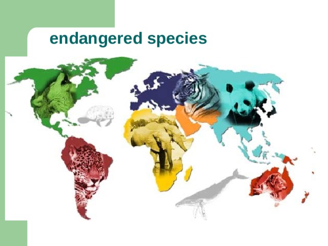 endangered species 