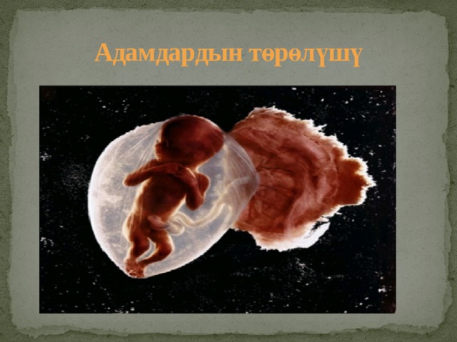 Адамдардын төрөлүшү 