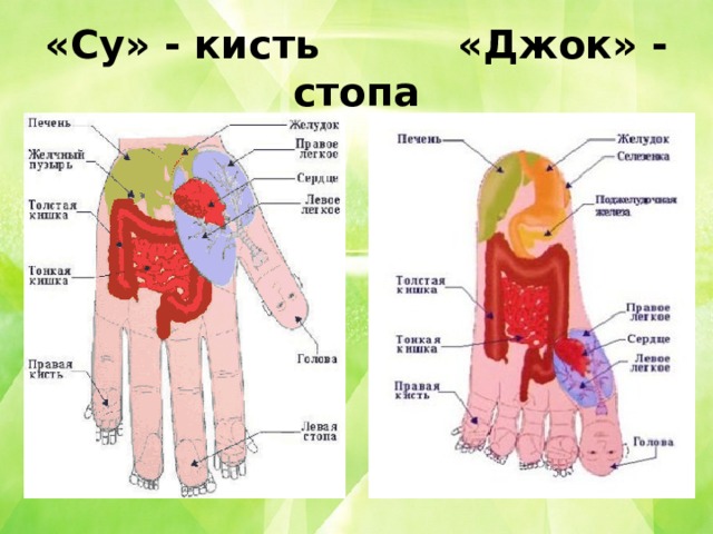 «Су» - кисть «Джок» - стопа 