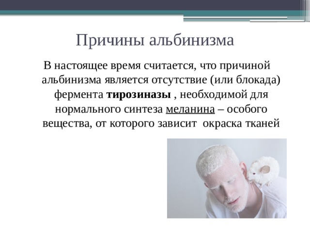 Причины альбинизма В настоящее время считается, что причиной альбинизма является отсутствие (или блокада) фермента тирозиназы , необходимой для нормального синтеза меланина – особого вещества, от которого зависит окраска тканей 