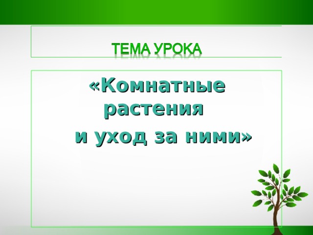 «Комнатные растения  и уход за ними» 