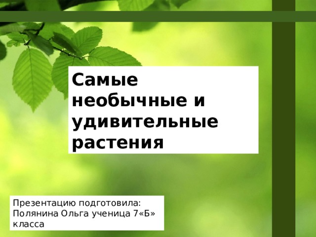Самые необычные и удивительные растения Презентацию подготовила: Полянина Ольга ученица 7«Б» класса 