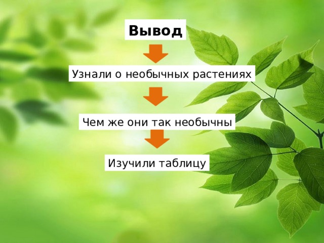 Вывод Узнали о необычных растениях Чем же они так необычны Изучили таблицу 