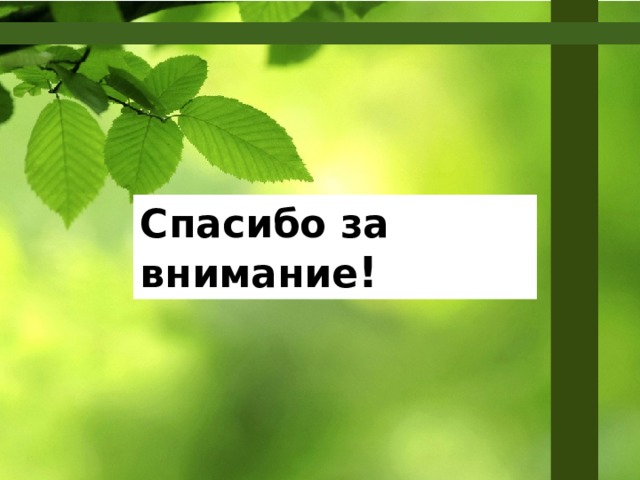 Спасибо за внимание ! 