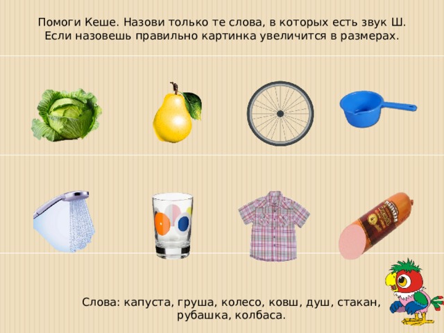 Помоги Кеше. Назови только те слова, в которых есть звук Ш. Если назовешь правильно картинка увеличится в размерах. Слова: капуста, груша, колесо, ковш, душ, стакан, рубашка, колбаса. 