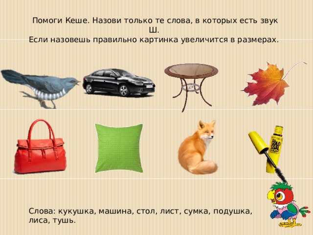 Помоги Кеше. Назови только те слова, в которых есть звук Ш. Если назовешь правильно картинка увеличится в размерах. Слова: кукушка, машина, стол, лист, сумка, подушка, лиса, тушь. 