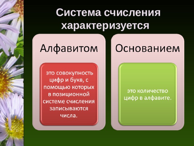 Система счисления характеризуется 