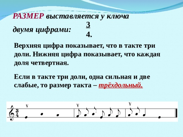 РАЗМЕР выставляется у ключа  двумя цифрами: 3 4. Верхняя цифра показывает, что в такте три доли. Нижняя цифра показывает, что каждая доля четвертная.  Если в такте три доли, одна сильная и две слабые, то размер такта – трёхдольный. 