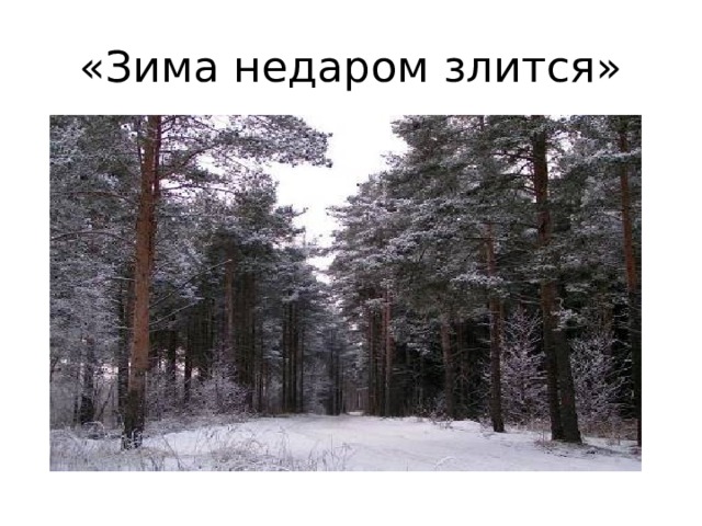 «Зима недаром злится» 