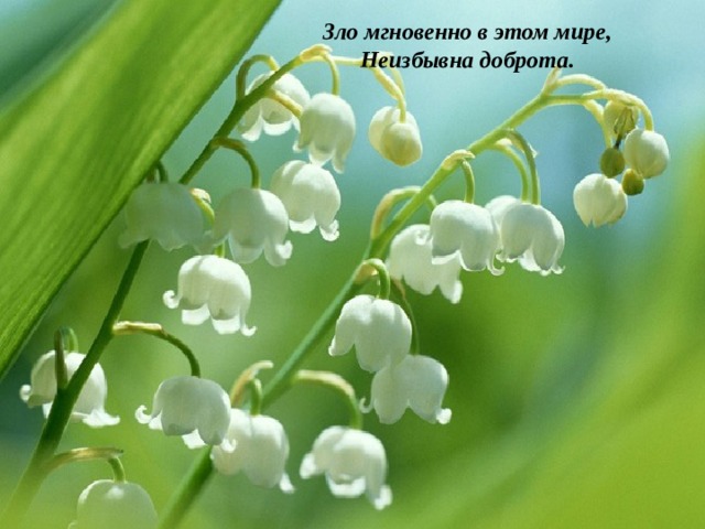 Зло мгновенно в этом мире,  Неизбывна доброта. 