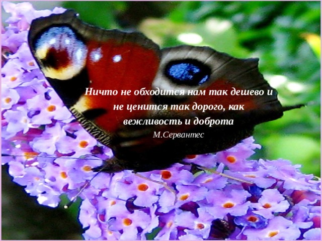 Ничто не обходится нам так дешево и не ценится так дорого, как вежливость и доброта  М.Сервантес 