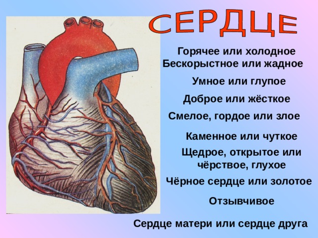 Горячее или холодное Бескорыстное или жадное Умное или глупое Доброе или жёсткое Смелое, гордое или злое Каменное или чуткое Щедрое, открытое или чёрствое, глухое Чёрное сердце или золотое Отзывчивое Сердце матери или сердце друга 