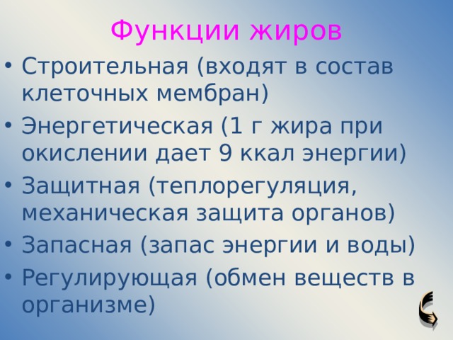 Функции жиров Строительная (входят в состав клеточных мембран) Энергетическая (1 г жира при окислении дает 9 ккал энергии) Защитная (теплорегуляция, механическая защита органов) Запасная (запас энергии и воды) Регулирующая (обмен веществ в организме) 