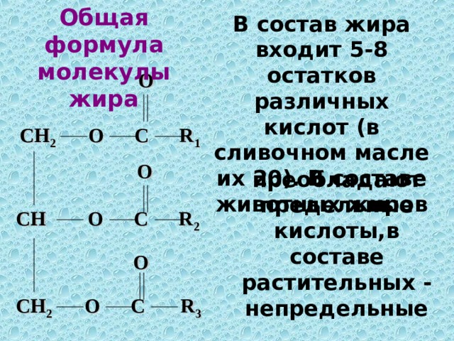 Общая формула молекулы жира В состав жира входит 5-8 остатков различных кислот (в сливочном масле их 20). В составе животных жиров  O CH 2 O C R 1 O преобладают предельные кислоты,в составе растительных - непредельные CH  O C R 2 O CH 2 O C R 3 