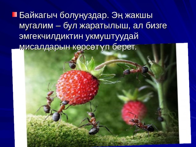 Байкагыч болуңуздар. Эң жакшы мугалим – бул жаратылыш, ал бизге эмгекчилдиктин укмуштуудай мисалдарын көрсөтүп берет. 