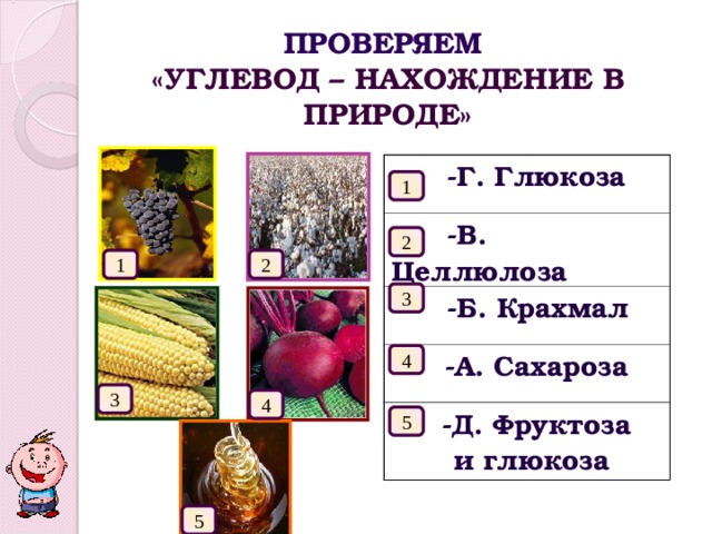 ПРОВЕРЯЕМ   «УГЛЕВОД – НАХОЖДЕНИЕ В ПРИРОДЕ»  -Г. Глюкоза  -В. Целлюлоза  -Б. Крахмал  -А. Сахароза  -Д. Фруктоза и глюкоза 1 2 1 2 3 4 3 4 5 5