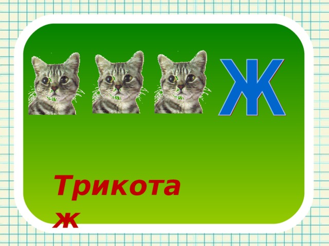 Трикотаж 