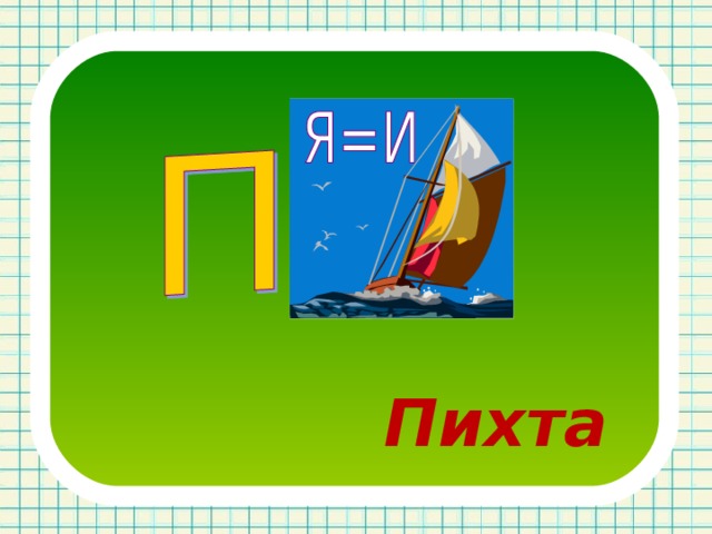 Пихта 