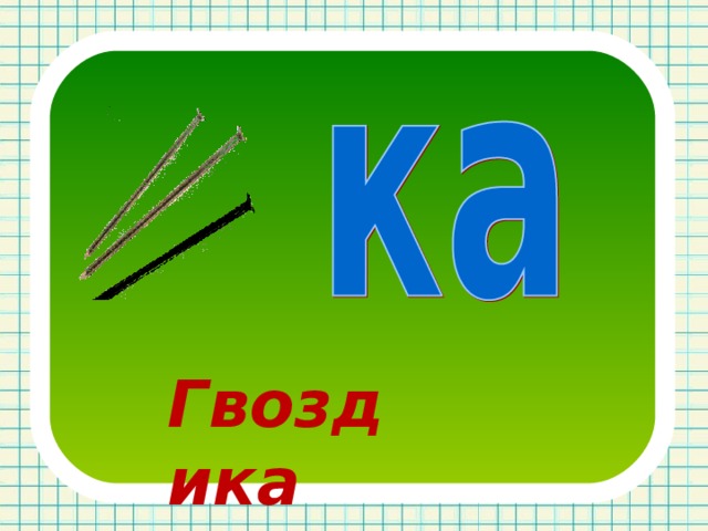 Гвоздика 