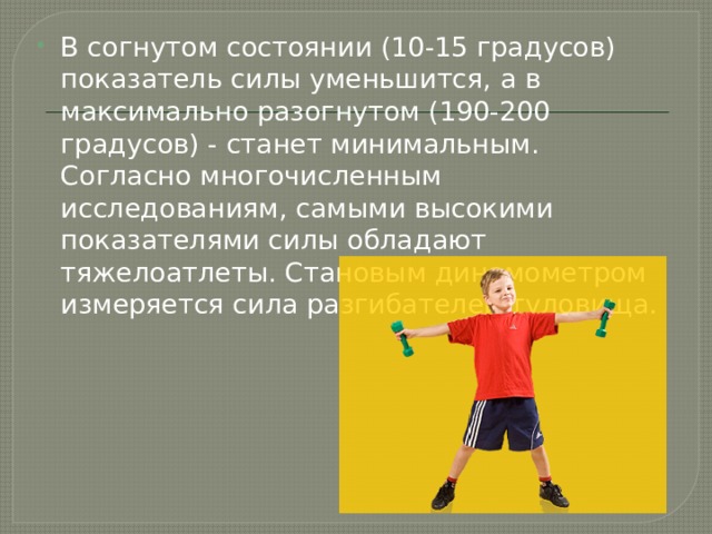 В согнутом состоянии (10-15 градусов) показатель силы уменьшится, а в максимально разогнутом (190-200 градусов) - станет минимальным. Согласно многочисленным исследованиям, самыми высокими показателями силы обладают тяжелоатлеты. Становым динамометром измеряется сила разгибателей туловища.   