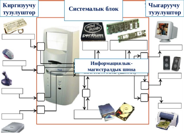 Системалык блок Чыгаруучу тузулуштор Киргизуучу тузулуштор Информациялык-магистралдык шина 