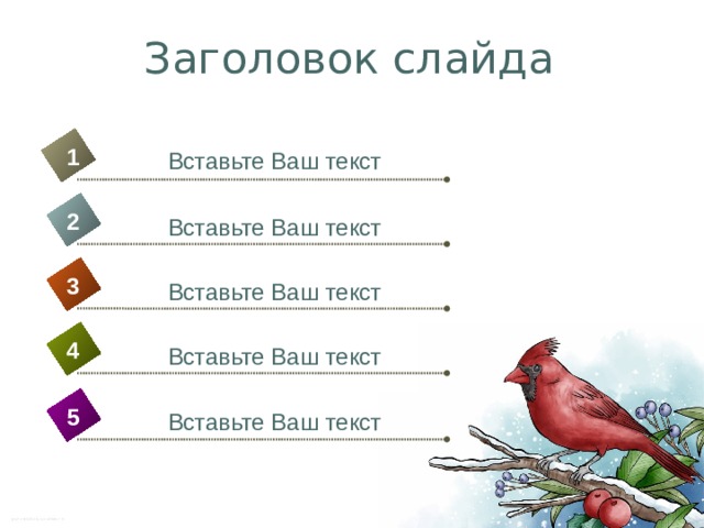 Заголовок слайда 1 Вставьте Ваш текст 2 Вставьте Ваш текст 3 Вставьте Ваш текст 4 Вставьте Ваш текст 5 Вставьте Ваш текст 