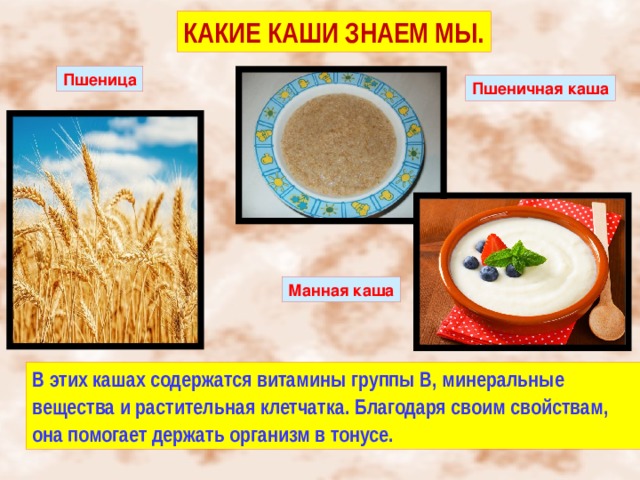 КАКИЕ КАШИ ЗНАЕМ МЫ. Пшеница Пшеничная каша Манная каша В этих кашах содержатся витамины группы В, минеральные вещества и растительная клетчатка. Благодаря своим свойствам, она помогает держать организм в тонусе. 
