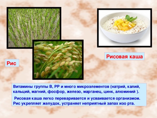 Рисовая каша Рис Витамины группы В, РР и много микроэлементов (натрий, калий, кальций, магний, фосфор, железо, марганец, цинк, алюминий ).  Рисовая каша легко переваривается и усваивается организмом. Рис укрепляет желудок, устраняет неприятный запах изо рта. 