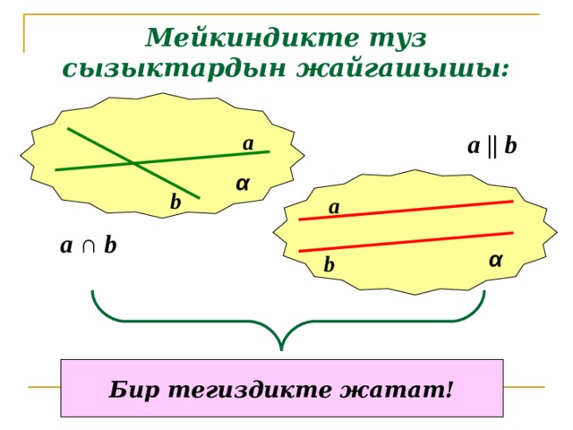 Мейкиндикте туз сызыктардын жайгашышы: α a a || b α b a a ∩ b b Бир тегиздикте жатат! 