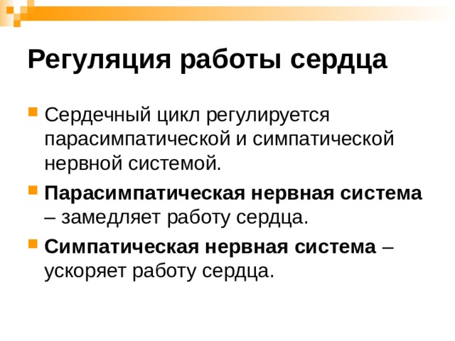 Регуляция работы сердца Сердечный цикл регулируется парасимпатической и симпатической нервной системой. Парасимпатическая нервная система – замедляет работу сердца. Симпатическая нервная система – ускоряет работу сердца.  