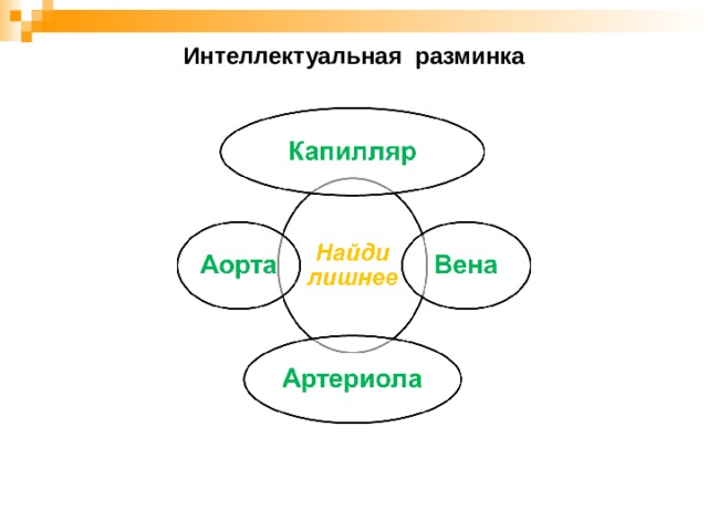 Интеллектуальная разминка 