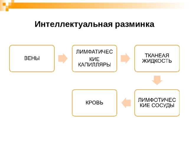 Интеллектуальная разминка 