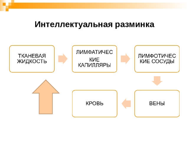 Интеллектуальная разминка 