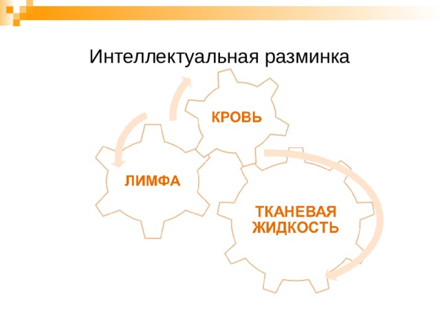 Интеллектуальная разминка 