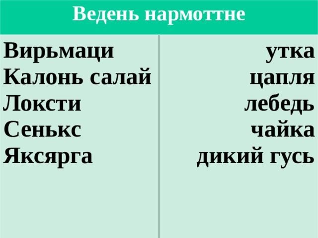 Ведень нармоттне Вирьмаци Калонь салай Локсти Сенькс Яксярга утка цапля лебедь чайка дикий гусь 