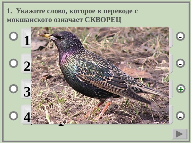 1. Укажите слово, которое в переводе с мокшанского означает СКВОРЕЦ 1) варси - 2) сязьгата - 3) пъсьмар + 4) сараз -  