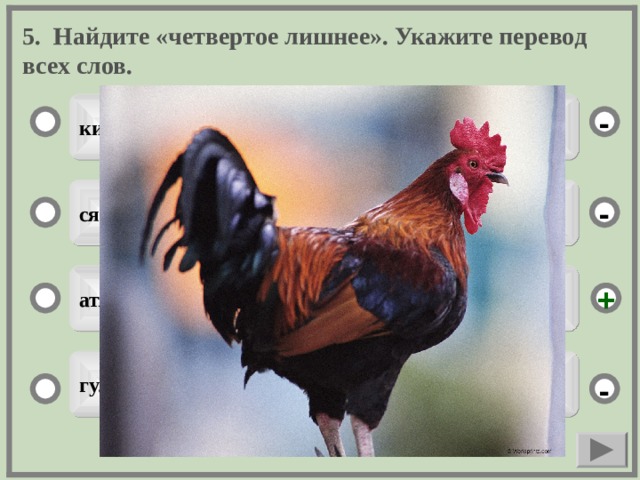 5. Найдите «четвертое лишнее». Укажите перевод всех слов. кирьхкс - сязьгата - атякш + гуля -  