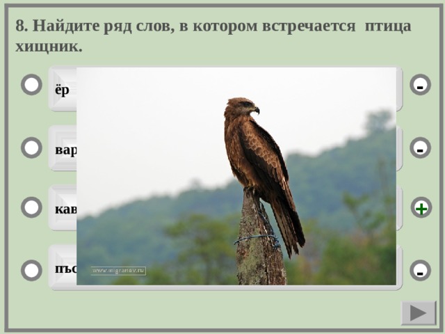 8. Найдите ряд слов, в котором встречается птица хищник. ёр - варси - кавал + пъсьмар -  