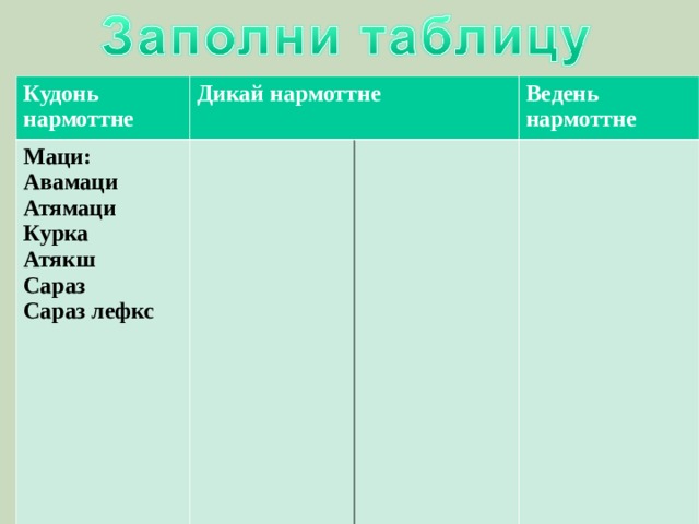 Кудонь нармоттне Дикай нармоттне Маци: Авамаци Атямаци Курка Атякш Сараз Сараз лефкс Ведень нармоттне 