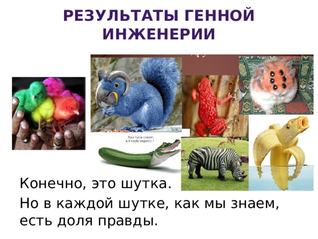 Результаты генной инженерии Конечно, это шутка. Но в каждой шутке, как мы знаем, есть доля правды. 