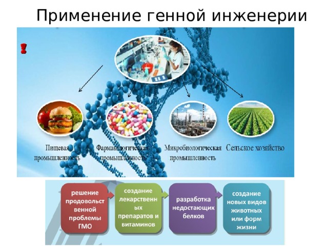 Применение генной инженерии 