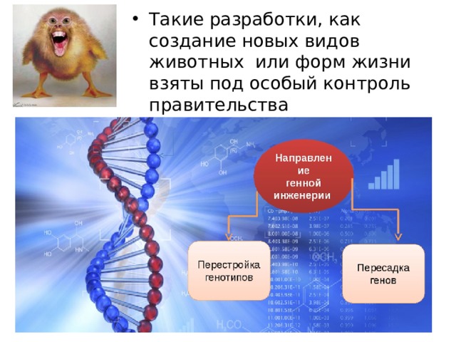 Такие разработки, как создание новых видов животных или форм жизни взяты под особый контроль правительства 