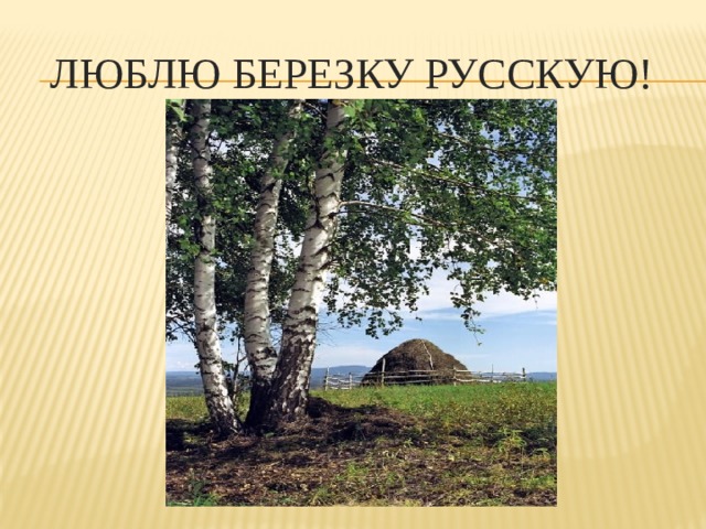Люблю березку русскую! 