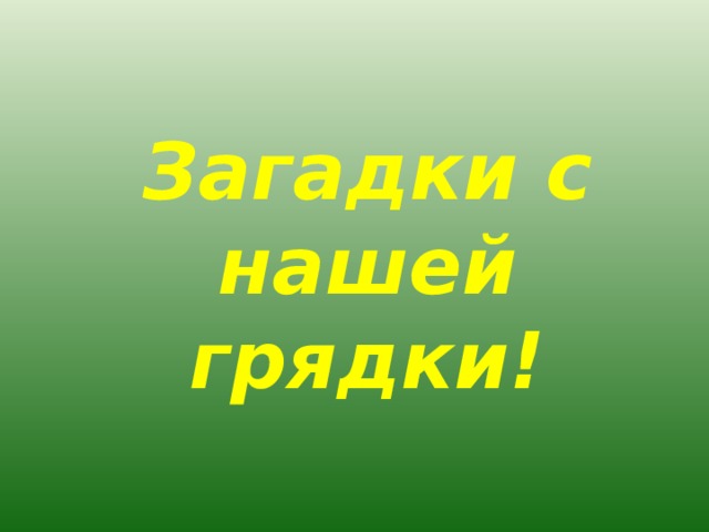 Загадки с нашей грядки! 