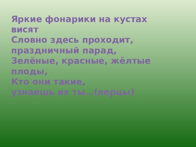 Яркие фонарики на кустах висят Словно здесь проходит, праздничный парад, Зелёные, красные, жёлтые плоды, Кто они такие, узнаешь их ты…(перцы) 