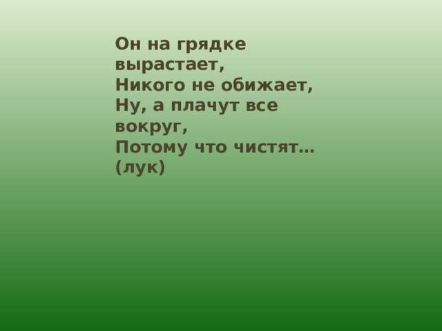 Он на грядке вырастает, Никого не обижает, Ну, а плачут все вокруг, Потому что чистят…(лук) 