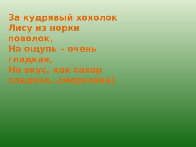 За кудрявый хохолок Лису из норки поволок, На ощупь – очень гладкая, На вкус, как сахар сладкая…(морковка) 