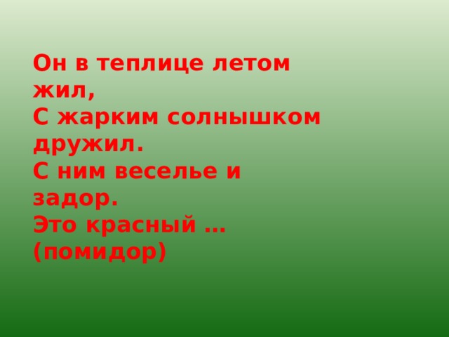 Он в теплице летом жил, С жарким солнышком дружил. С ним веселье и задор. Это красный …(помидор) 